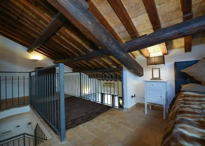 Ibernesi - Charming At The Forums *