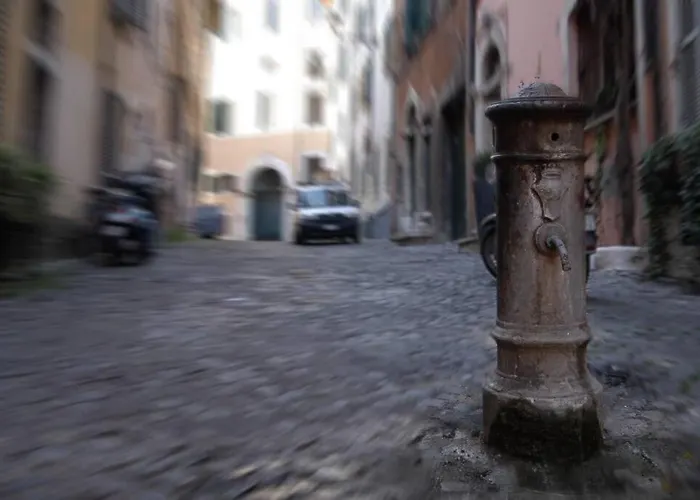 Ibernesi - Charming At The Forums