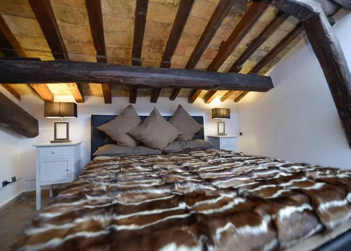 Ibernesi - Charming At The Forums *